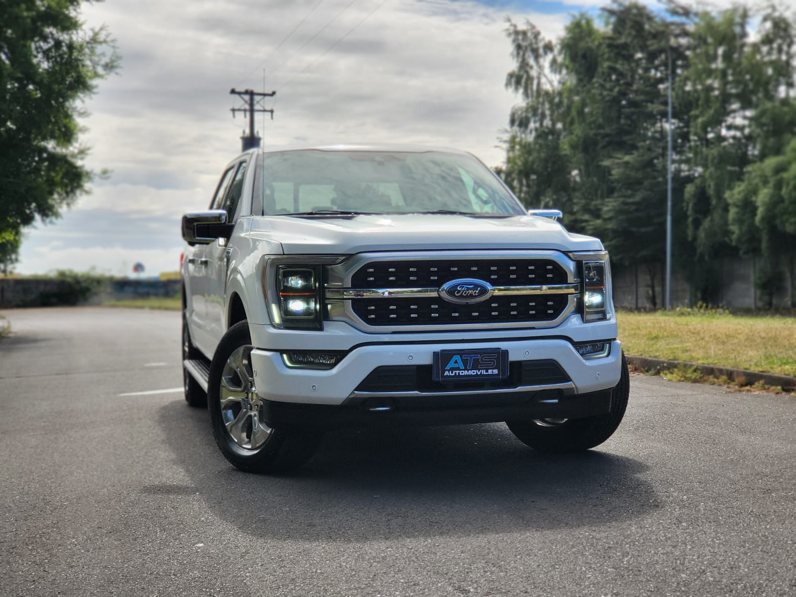 
								Ford F150 Platinum full									