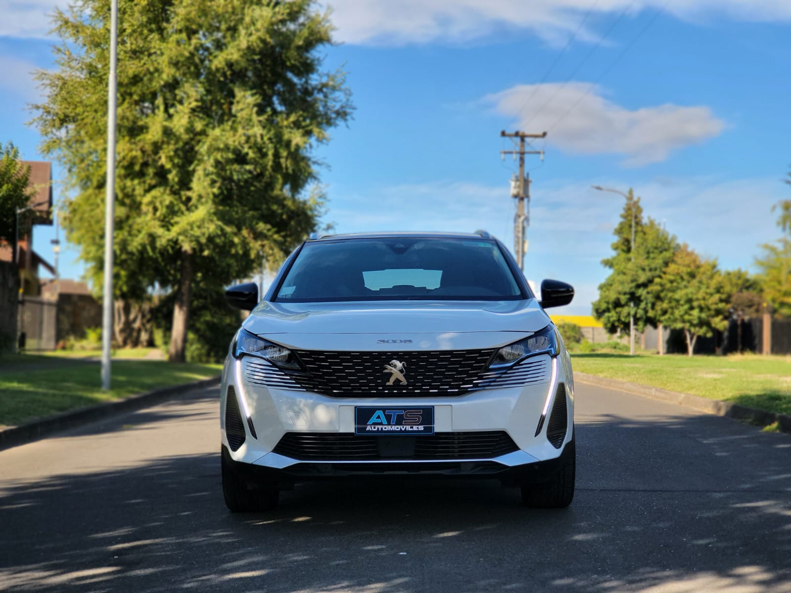 
								Peugeot 3008 full									