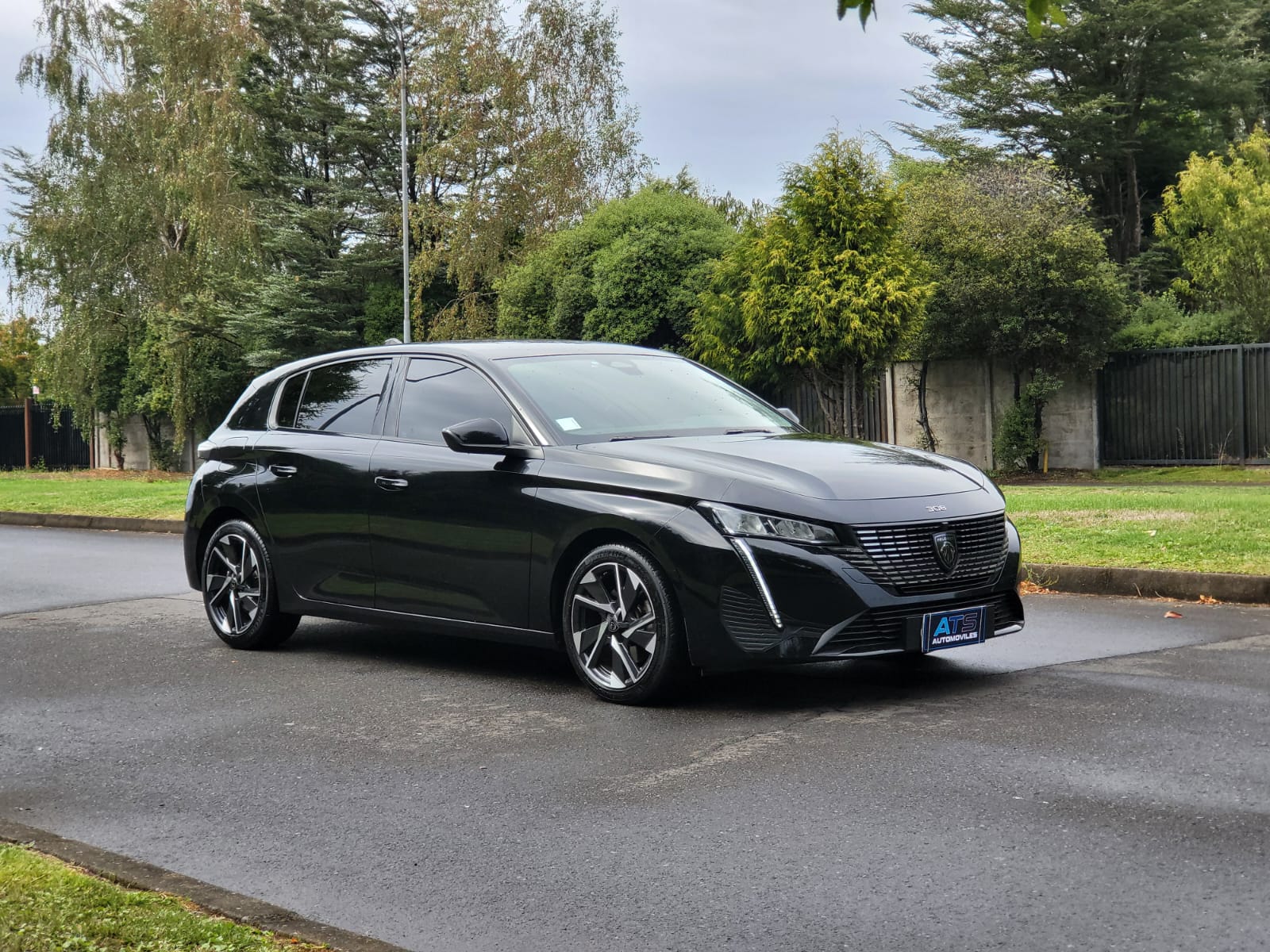 
								Peugeot 308 BLUEHDI full									