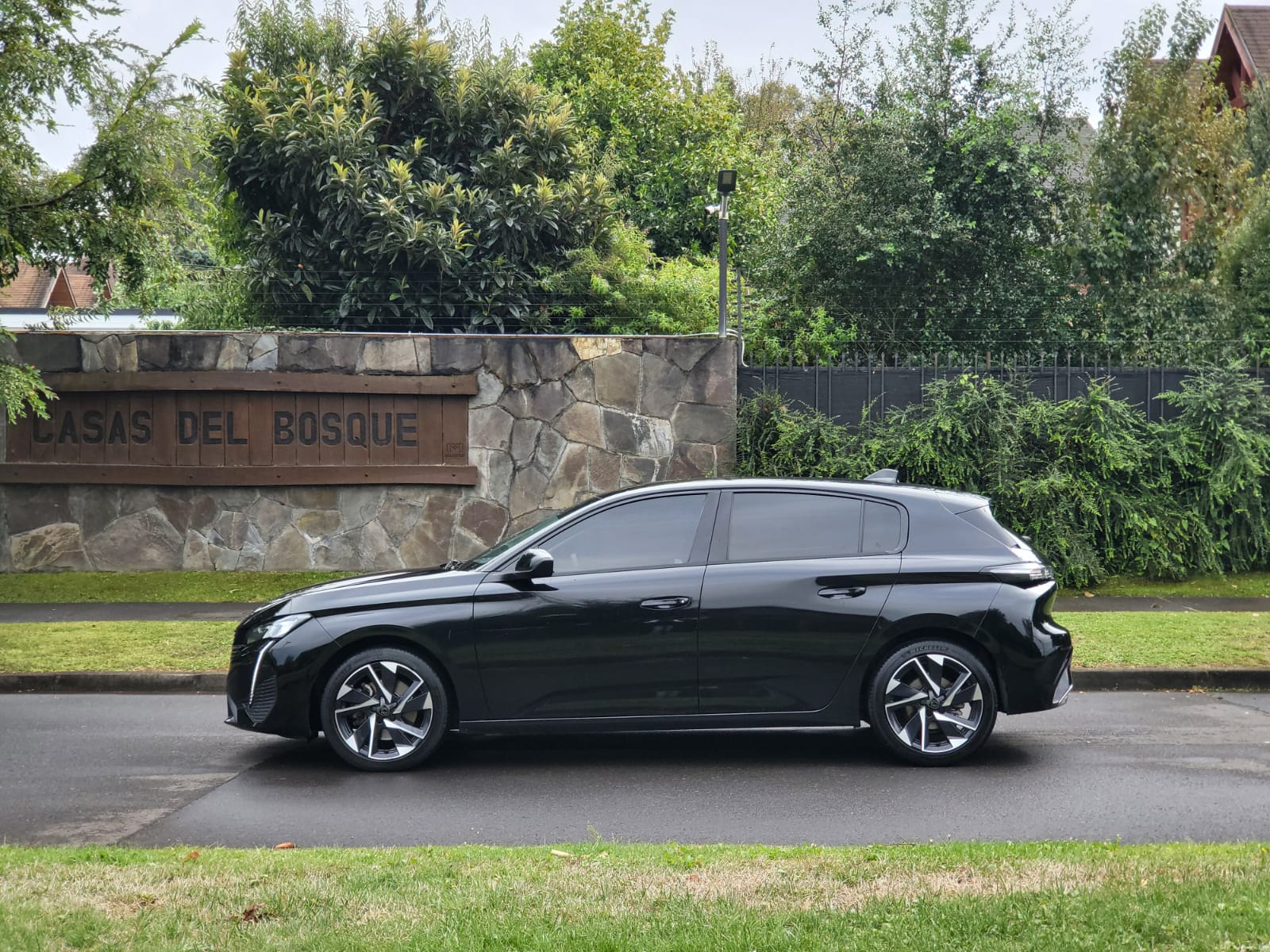 
								Peugeot 308 BLUEHDI full									