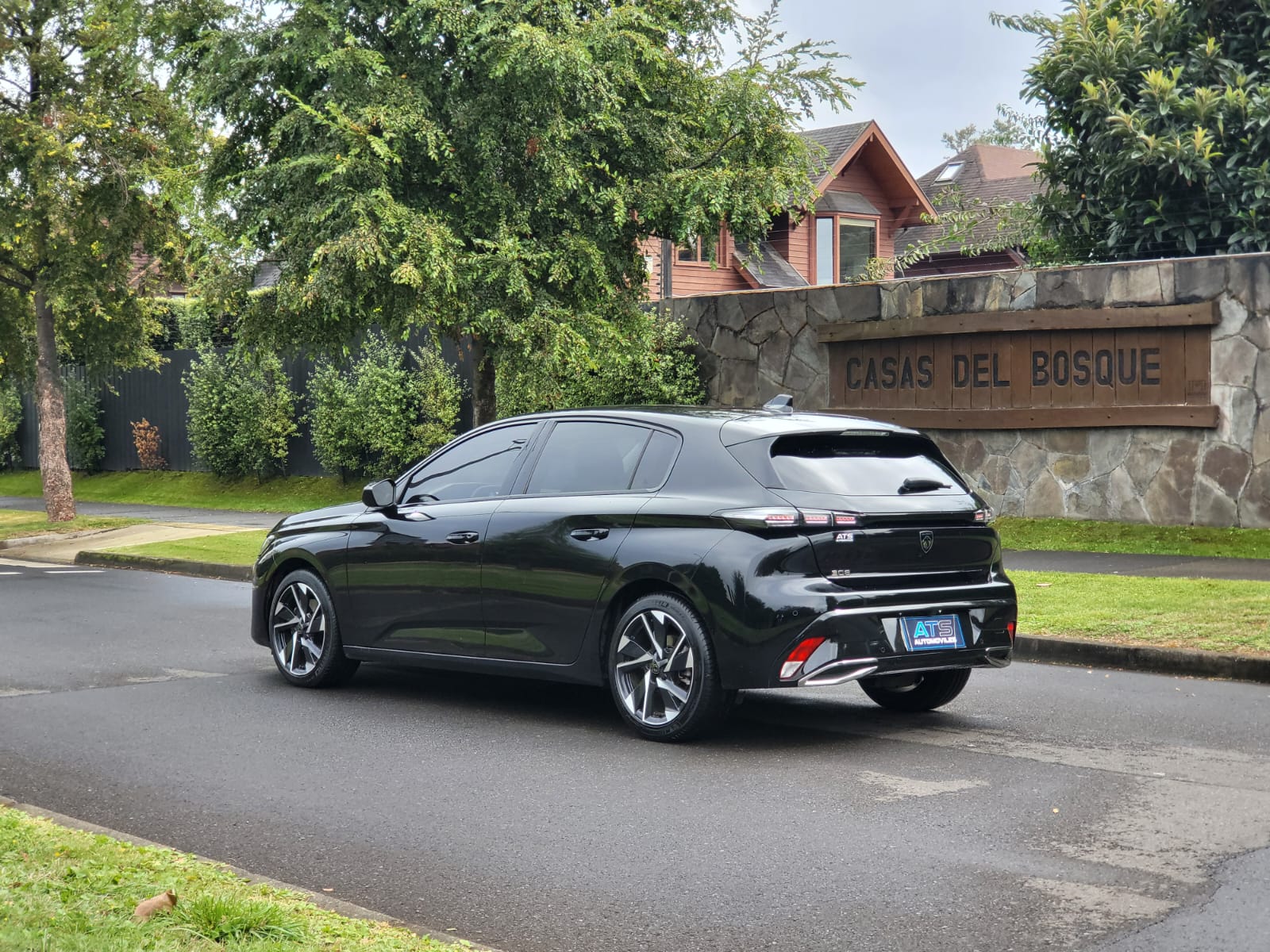 
								Peugeot 308 BLUEHDI full									