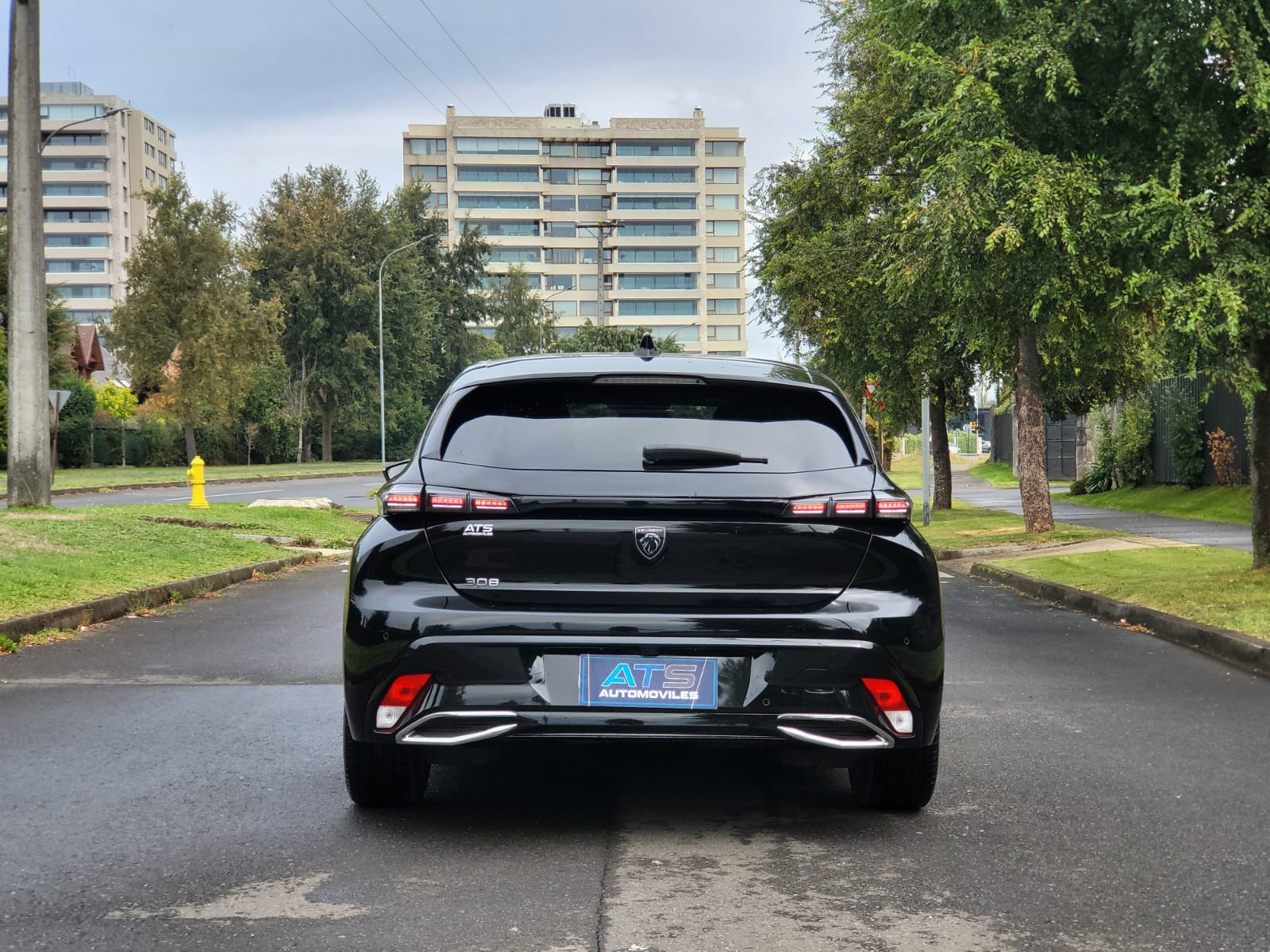 
								Peugeot 308 BLUEHDI full									