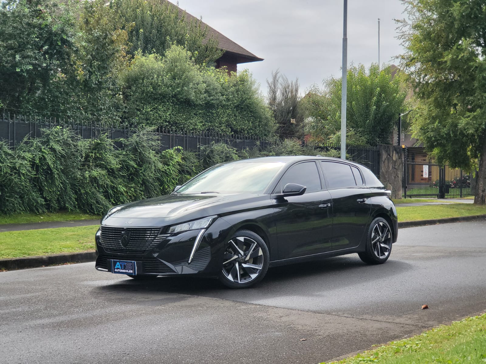 
								Peugeot 308 BLUEHDI full									