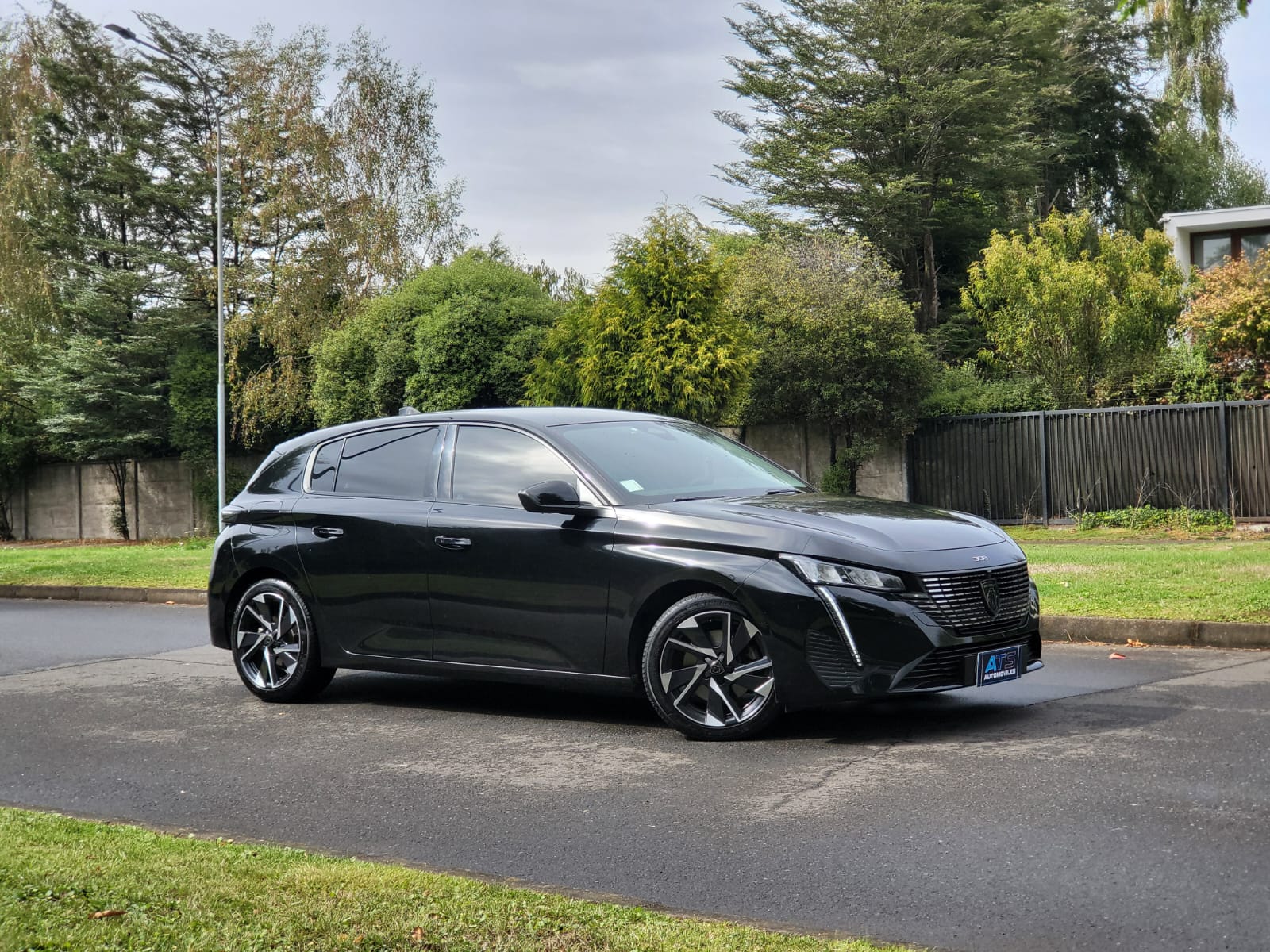 
								Peugeot 308 BLUEHDI full									